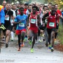 PSD-Bank Hardtwaldlauf